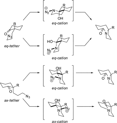 Reactive conformations in the intramolecular Schmidt reaction.