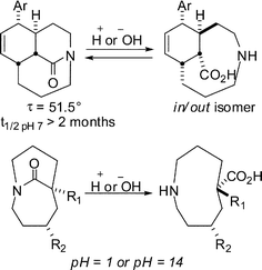 Hydrolytic behaviour of one-carbon bridged lactams.