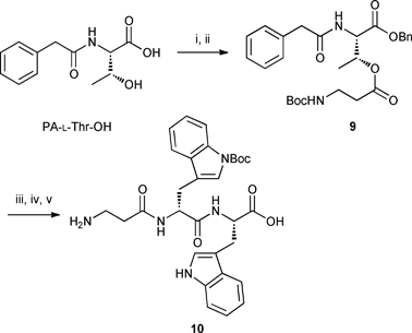 Esterification using modified Yamaguchi conditions and formation of undesired product 10. Reagents, conditions and yields: i) Et3N, BnBr, DMF, rt, 16 h, 73%; ii) Boc-β-Ala-OH, BzCl, Et3N, DMAP, THF, rt, 88 h, 71%; iii) H2, 10% Pd/C, MeOH, rt, overnight, 93%; iv) compound 6, HBTU, DIPEA, DMF, rt, 45 min; v) TFA : H2O : TIPS (95 : 2.5 : 2.5), 1 h.