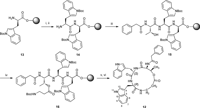 Synthesis of PA-l-[Thr-l-Trp-d-Trp-β-Ala] 12. Reagents, conditions and yields: i) Fmoc-l-Trp(Boc)-OH (3 equiv.), HBTU, DIPEA, DMF, rt, 45 min; ii) 20% piperidine/DMF, rt; iii) PA-l-Thr-OH (3 equiv.), HBTU, DIPEA, DMF, rt, 45 min; iv) Boc-β-Ala-OH (20 equiv.), BzCl (20 equiv.), Et3N (40 equiv.), CH2Cl2, rt, 18 h; v) TFA : H2O : TIPS (95 : 2.5 : 2.5), 1 h; vi) BOPCl, DMAP, CH2Cl2–MeOH, 0 °C to rt, 19 h, 4% from compound 13.