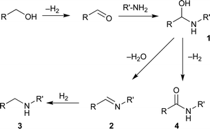 Proposed pathway for direct amide synthesis from alcohols and amines.