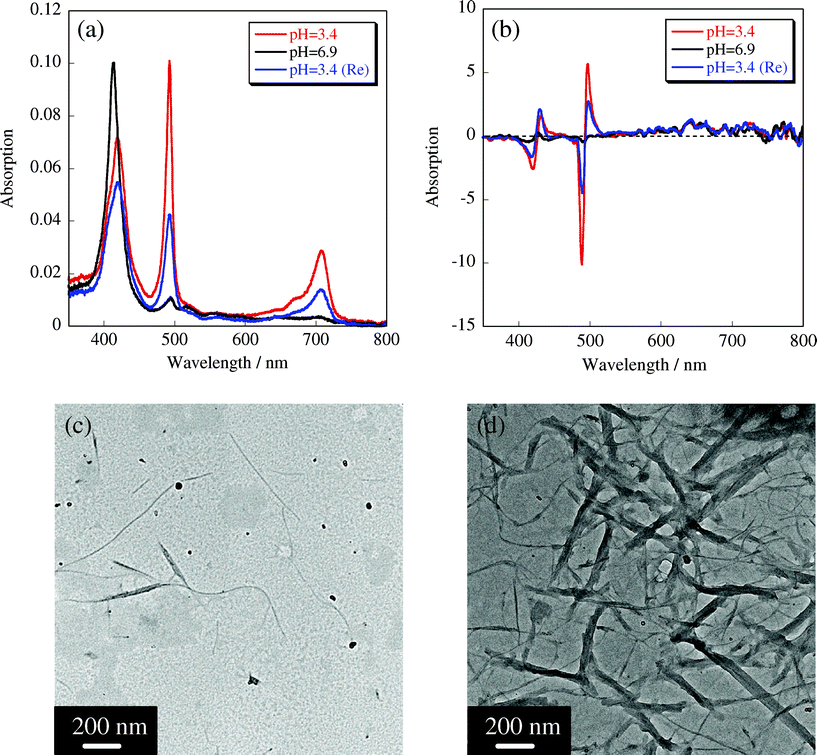 Reversible UV-vis and CD spectral changes of the sheet-like structure (a) and (b); pH = 3.4 (red line), pH = 6.8 (black line) and after restoring to pH = 3.4 (blue line). TEM images of the dissociated structure at pH 6.9 (c) and the reconstructed sheet-like structures at pH 3.4 (d).