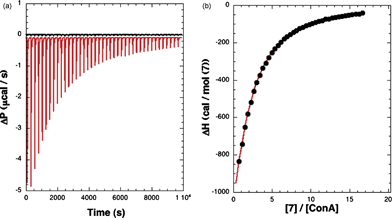 
            ITC of methyl “manno” β-septanoside 7 into ConA. Titration conditions are given in Table 1. (Left) Raw injection traces from titration of 7 into ConA (red) and dilution of 7 into buffer (black). (Right) Titration curve generated from raw data.