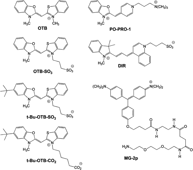 
            Fluorogenic dye structures.