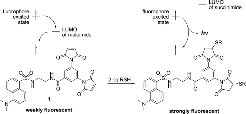 Fluorescence quenching by Photoinduced Electron Transfer (PET).