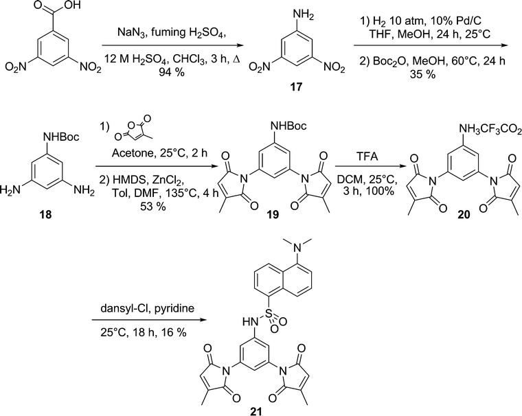 Synthesis of spacerless dansyl fluorogen 21.