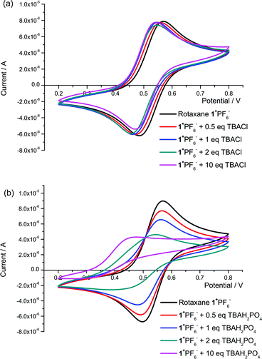 Selected CVs of rotaxane 1+PF6− in 0.1 M TBAPF6/CH3CN upon the addition of aliquots of (a) TBACl and (b) TBAH2PO4 (Potential compared to Ag/AgCl reference).