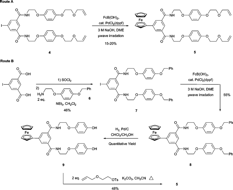 Synthetic routes to macrocyclic precursor 5.