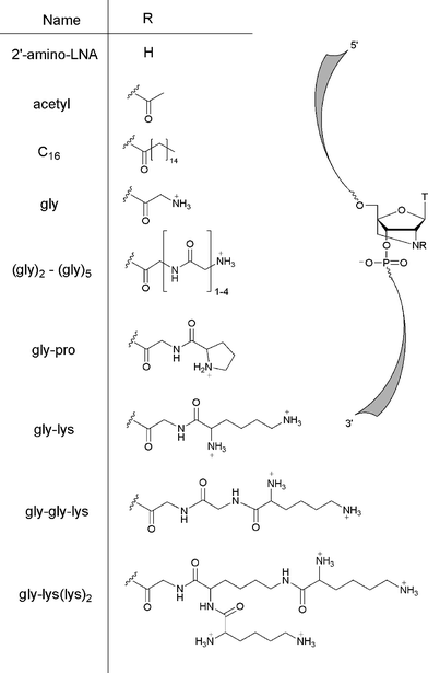 Structures of modified N2′-acyl 2′-amino-LNA monomers.