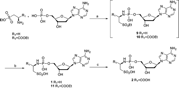 (a) EDAC, H2O, r.t., 2–5 h; (b) 1.4 M K2CO3 in MeOH–H2O 1 : 1, r.t., 2 h; (c) 0.4 M NaOH in MeOH–H2O 1 : 1, r.t., overnight.