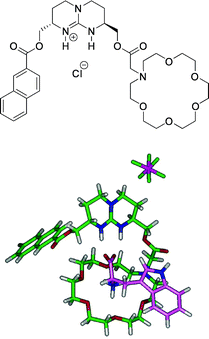 De Mendoza's guanidinium–crown ether tethered host (top), and proposed complexation of the host complexed with l-tryptophan (bottom).