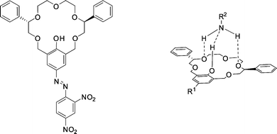 
            Azophenolic crown ether
            host (left) and the proposed complexation structure of an azophenolic crown ether with a neutral primary amine (right).