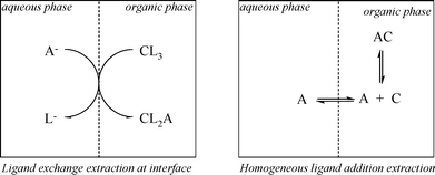 Interfacial ligand exchange mechanism of solute A with extractant C (left) and homogeneous organic phase ligand addition mechanism (right).