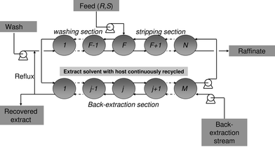 Multistage fractional extraction scheme with back-extraction section to recover the host.