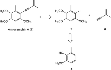 Retrosynthetic analysis of antrocamphin A.