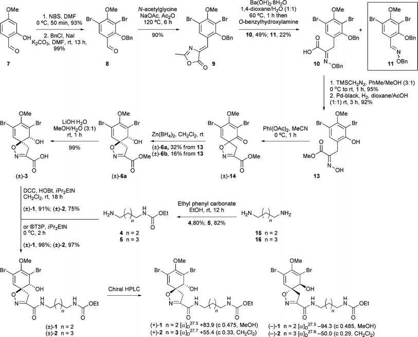 Synthesis route to 1 and 2.