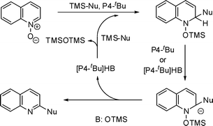 Plausible mechanism for functionalisation of quinoline N-oxide using silylated nucleophiles.