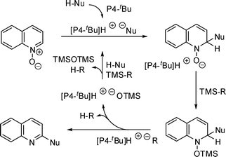 Plausible mechanism for functionalisation of quinoline N-oxide.