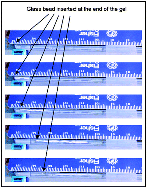 
            Transport of a glass bead by a gel with anisotropic shrinking upon heating. A propagation of the phase transition from left to right is observed. Reproduced with permission from ref. 182. Copyright (2005) Wiley-VCH.