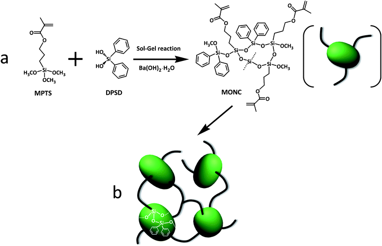 (a) Synthesis of methacryl-oligosiloxane nanoclusters (MONC) and (b) UV-curing of MONC.