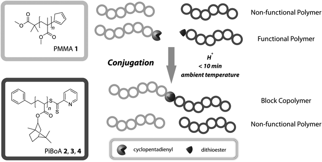 Schematic overview of the conjugation of polymer chains via their respective chain-end functionalities.