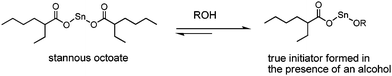 Structure for the true initiator of Sn(Oct) formed in the presence of protic reagents.