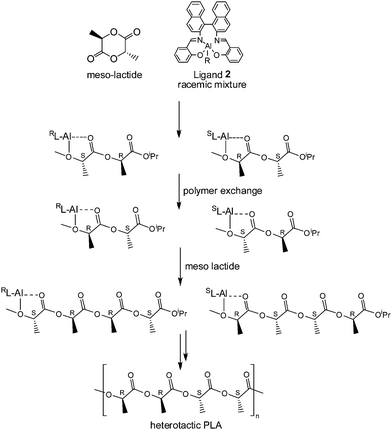 
          Polymer exchange mechanism for the formation of heterotactic PLA from meso-LA by using rac-2.