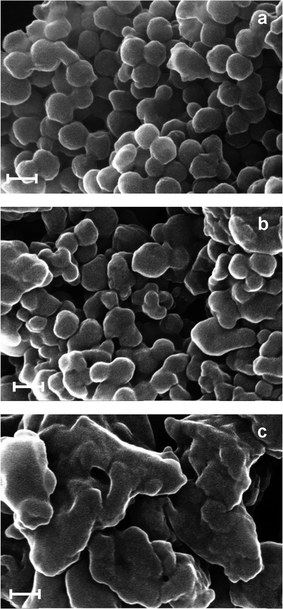 
          SEM images of (a) α-CDP; (b) β-CDP; (c) γ-CDP. Scale bar: 100 nm.