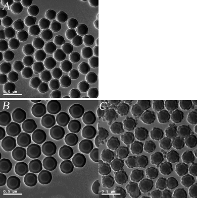 TEM micrographs: (A) SiO2/P(DVB-SO3−VPyH+) core-shell PE microspheres; (B) SiO2/P(DVB-SO3−VPyH+)/SiO2 tri-layer microspheres; (C) SiO2/P(DVB-SO3H)/SiO2 tri-layer microspheres.
