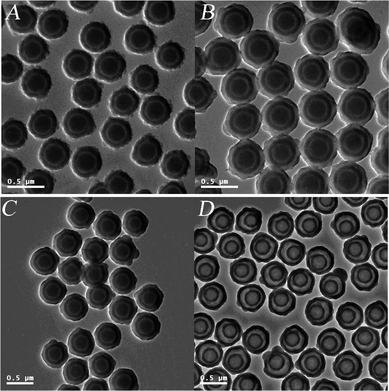 TEM micrographs: (A) SiO2/P(DVB-SO3−VPyH+)/SiO2/PDVB tetra-layer microspheres after the first-semibatch polymerization; (B) SiO2/P(DVB-SO3−VPyH+)/SiO2/PDVB tetra-layer microspheres after the second-semibatch polymerization; (C) SiO2/P(DVB-SO3H)/SiO2/P(DVB-SO3H) tetra-layer polyelectrolyte microspheres; (D) hollow P(DVB-SO3H) microspheres with a shell-in-shell structure.