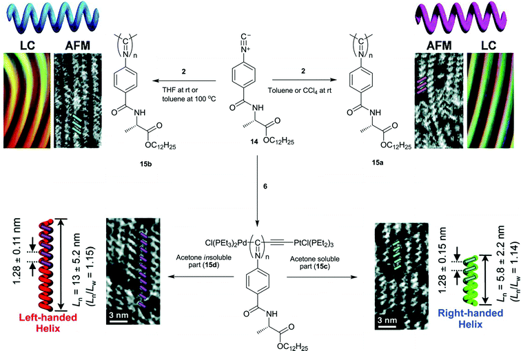 High-resolution AFM phase images of 2D self-assembled helices of 15 obtained from CCl4 and toluene at 100 °C, followed by annealing in toluene at 100 °C for six days on HOPG. The bars in the AFM phase images denote a one-handed helical array. The polymers form a stiff 154 helix with a helical pitch of ca. 1.3 nm. (Adapted with permission from ref. 80 and 82, Copyright 2006 and 2009, respectively, American Chemical Society.)