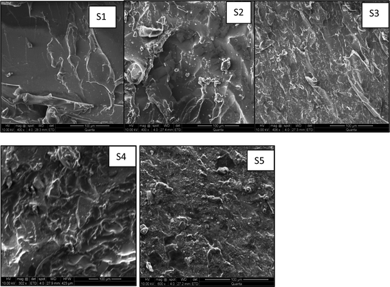 SEM micrographs of fracture surfaces of S1, S2, S3, S4, and S5.