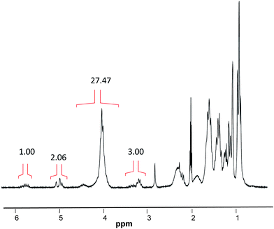 
            1H NMR spectrum of the poly(n-butyl acrylate) initiated by MAMA–ene (250 MHz, acetone-d6).