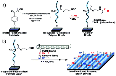 (a) Schematic procedure for surface-initiated photopolymerization of 2-isocyanatoethyl methacrylate and subsequent X-isocyanate functionalization (X = thiol or amine). (b) Schematic procedure for patterning NCO-containing polymer brush surfaces with sequential X-isocyanate reactions.