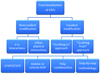 The basic framework of methods used for functionalization of CNTs with dendrimers and hyperbranched polymers.