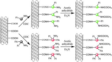 Schematic representation of reactions to modify MWNTs with dendrimers for cancer cell targeting.71
