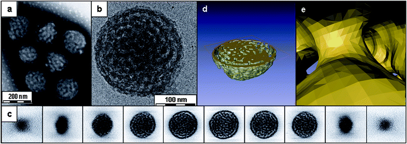 
          TEM analysis of aggregates of PNOEG–PNGLF. (a) Conventional TEM using negative staining, (b) cryoTEM image of a vitrified film, (c) gallery of z slices showing different cross-sections of a 3D SIRT reconstruction of a tomographic series recorded from the vitrified film in (b). Visualization of the segmented volume showing (d) a cross-section of the aggregate and (e) a view from within the hydrated channels. Reproduced with permission from ref. 89. ©2010 American Chemical Society.