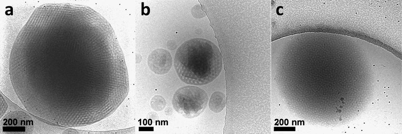 cryoTEM 2D projection images of 5 wt% solution of PEO39-b-PODMA17 (PEO–PODMA) aggregates vitrified at (a) 4 °C, (b) 22 °C and (c) 45 °C. Reproduced with permission from ref. 90. ©2010 American Chemical Society.