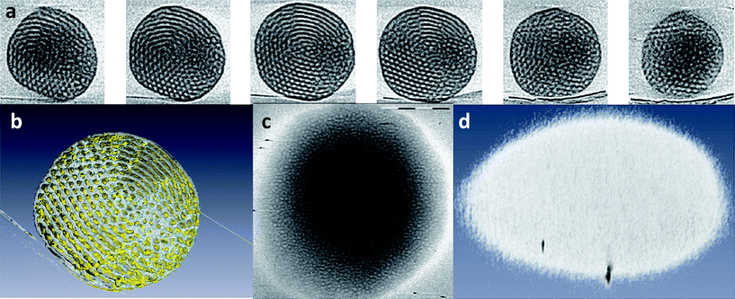 cryoET of a 5 wt% solution of PEO39-b-PODMA17 (PEO–PODMA) aggregates. (a) Gallery of z slices (left to right) and (b) computer visualization of a 3D reconstruction of a particle showing its internal structure at 4 °C. (c) z-Slice of a particle showing its internal structure and (d) computer visualization of a 3D reconstruction of a particle showing its external shape at 45 °C. Reproduced with permission from ref. 90. ©2010 American Chemical Society.
