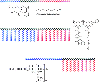 Schematic and chemical structures of copolymers found to form bicontinuous aggregates in solution.