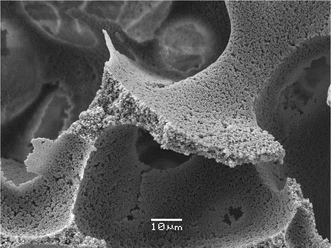 
          Scanning electron microscopy image of polyacrylamide cryogel prepared in an aqueous 0.6 M acetone solution. The macropores are formed due to the formation of ice crystals and the porosity in the pore walls is caused by the reaction induced phase separation. Figure reproduced with permission from ref. 12.