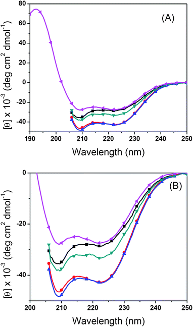 (A) Full and (B) expanded CD spectra of PALG18 (–■–), PALG41 (–●–), PALG18-b-PCPLG36 (–▲–) and PALG18-b-PAPLG36 (–▼–) in THF and PALG18-b-(PPLG36-g-mannose) (–◀–) in water (pH = 7) at 20 °C.