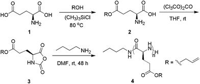 The synthetic route to poly(γ-allyl-l-glutamate) (PALG).
