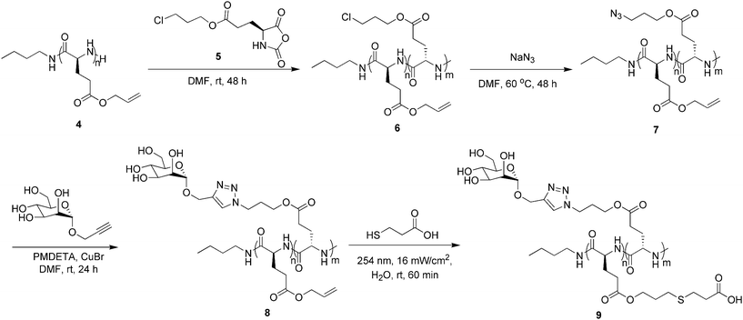 The synthetic route to 3-mercaptopropionic acid modified poly(γ-allyl-l-glutamate)-block-poly(γ-propanyl-l-glutamate-graft-mannose) [(PALG-g-MCPA)-b-(PPLG-g-mannose)].