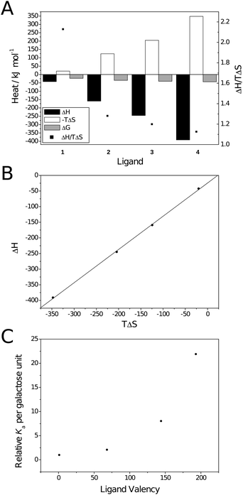 Thermodynamic plots for the binding between galactoside ligands and RCA120. (A) Thermodynamic parameters; (B) Compensation plot (—) Linear fit. R2 = 0.999, slope = 1.06; (C) Valency corrected Kaversus ligand valency.