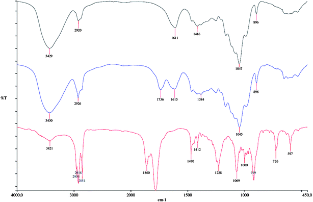 
              FT-IR spectra of xylan (top), n-DDSA-modified xylan (middle) with DS = 0.16 (experiment 14, Table 1), and n-DDSA (bottom).
