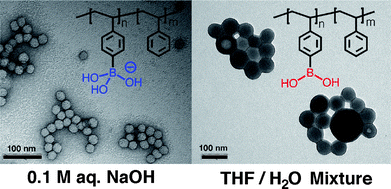 Self-assembled structures of PSBA-b-PS block copolymer in different solvents. (Reproduced with permission from ref. 16. Copyright 2010 Wiley-VCH Verlag GmbH & Co. KGaA.)