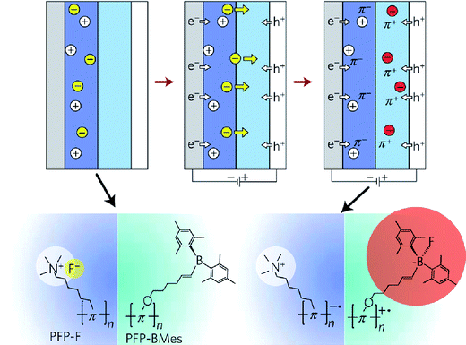 Schematic illustration of a chemically fixed p–n junction (π-system = poly(fluorene-co-phenylene), PFP). (Adapted with permission from ref. 45. Copyright 2010 Macmillan Publishers Ltd. (Nature Materials).)