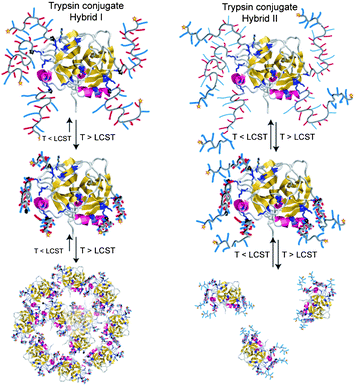 Cartoon representation of the solution behaviour of Hybrid I (left) and Hybrid II (right).