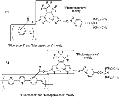 Photoresponsive liquid crystalline conjugated copolymers.